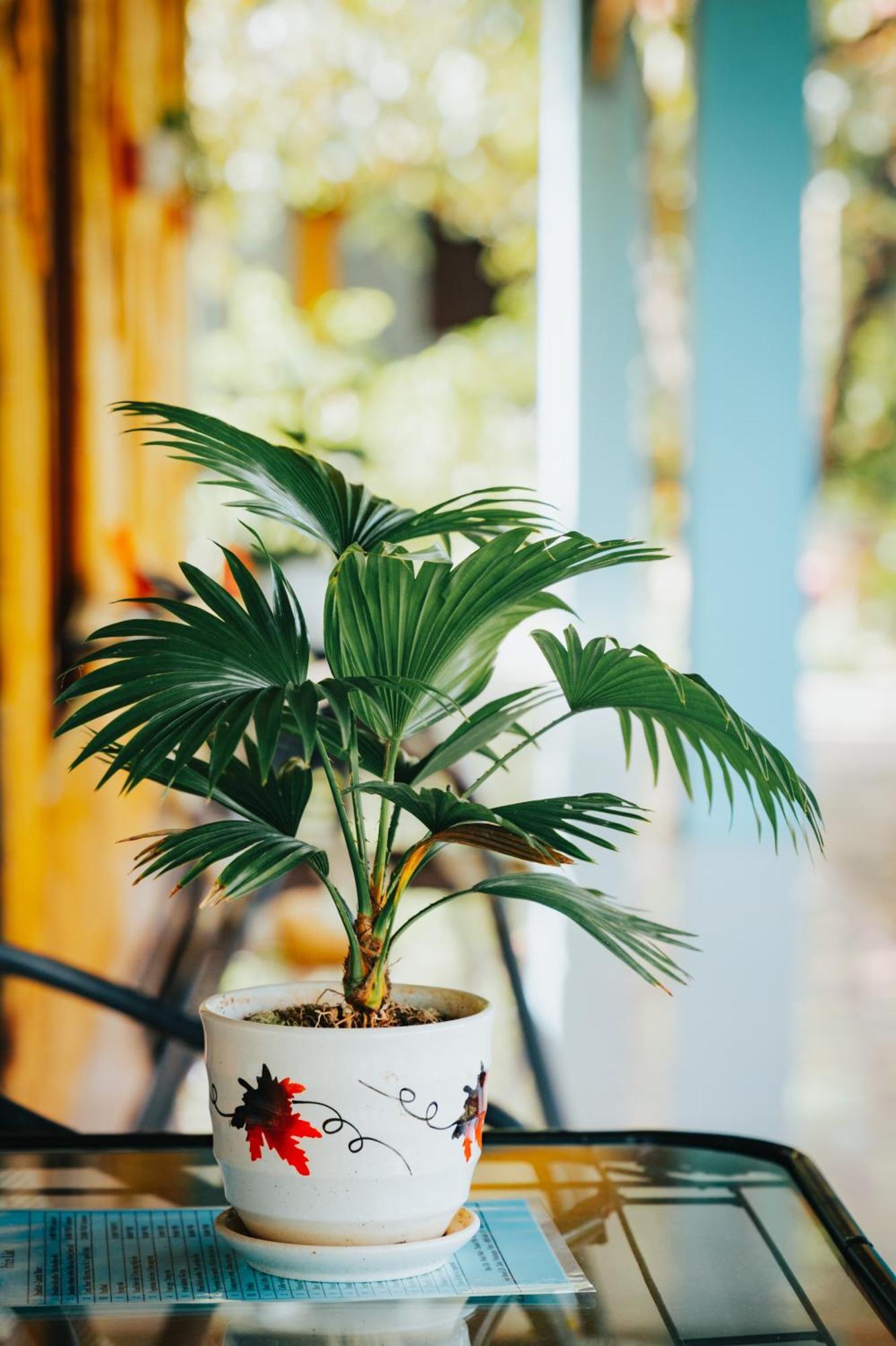 Blue Garden Homestay Ninh Binh Luaran gambar