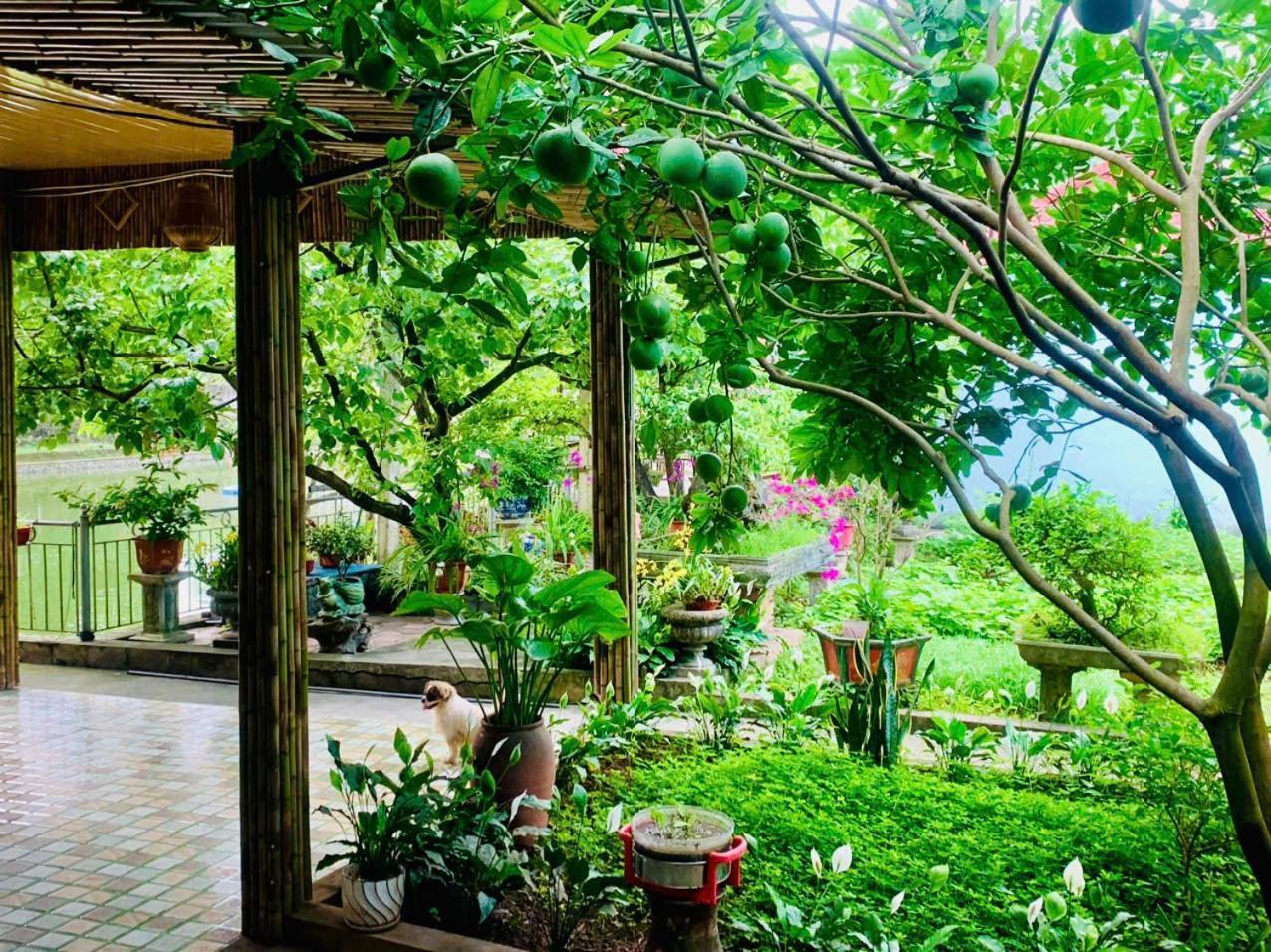 Blue Garden Homestay Ninh Binh Luaran gambar