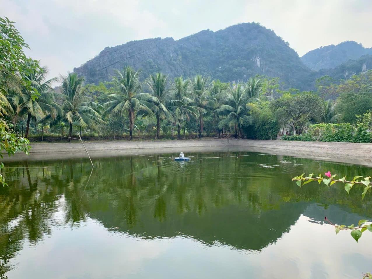 Blue Garden Homestay Ninh Binh Luaran gambar