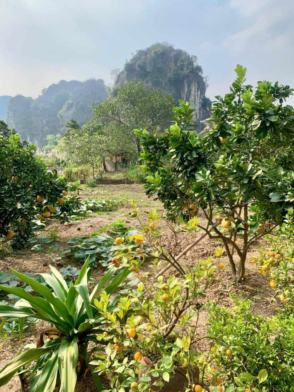 Blue Garden Homestay Ninh Binh Luaran gambar