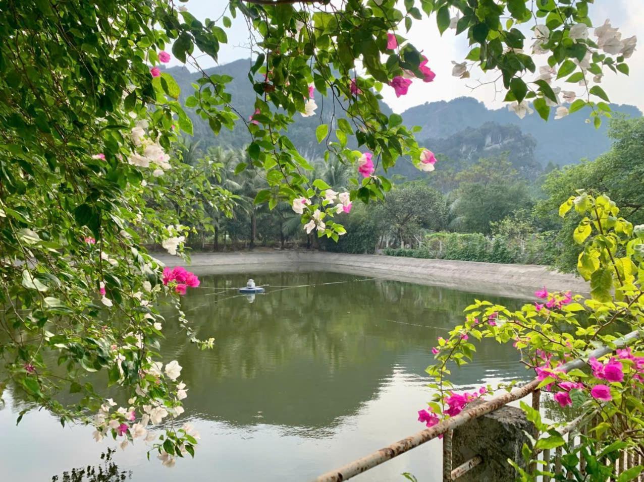 Blue Garden Homestay Ninh Binh Luaran gambar