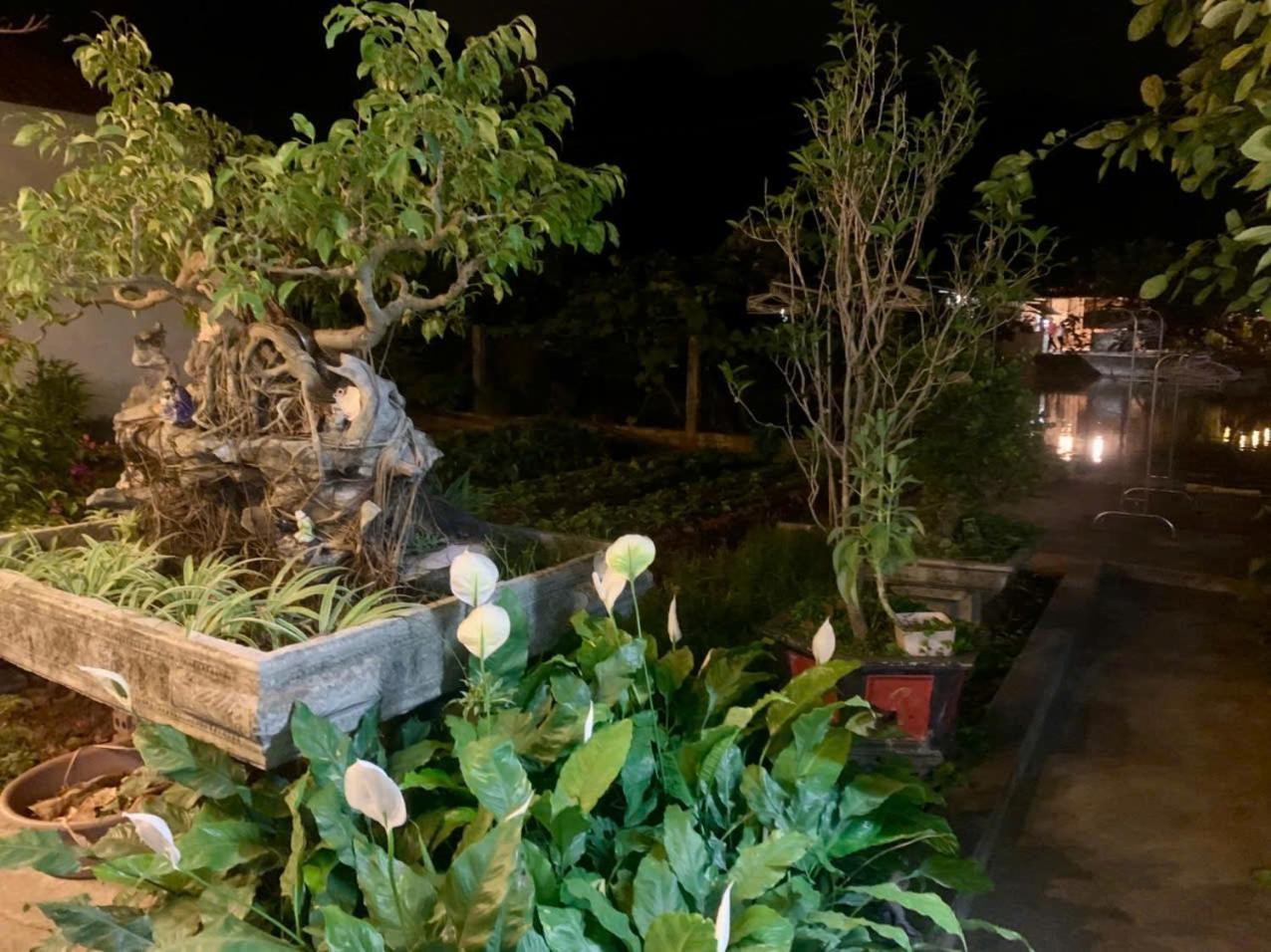 Blue Garden Homestay Ninh Binh Luaran gambar