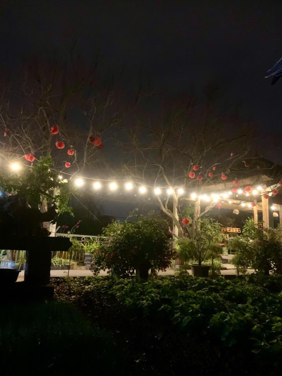 Blue Garden Homestay Ninh Binh Luaran gambar