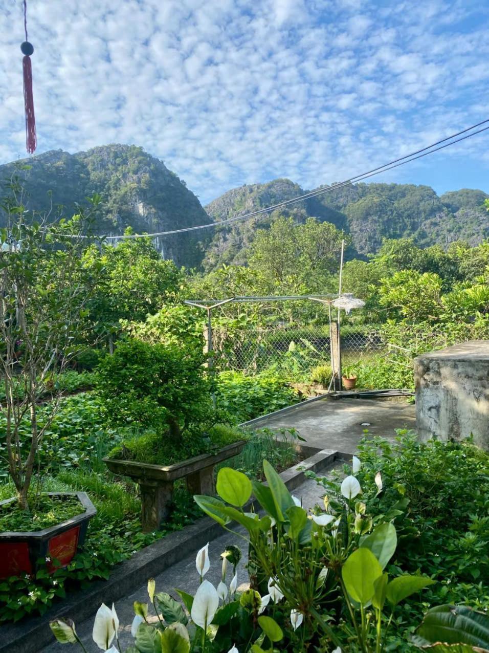 Blue Garden Homestay Ninh Binh Luaran gambar