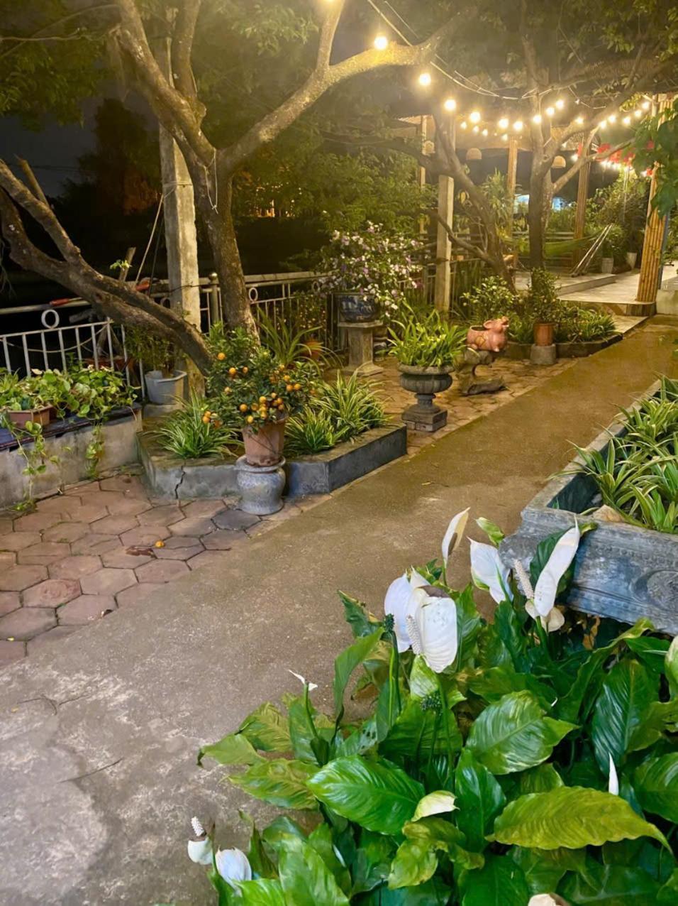 Blue Garden Homestay Ninh Binh Luaran gambar