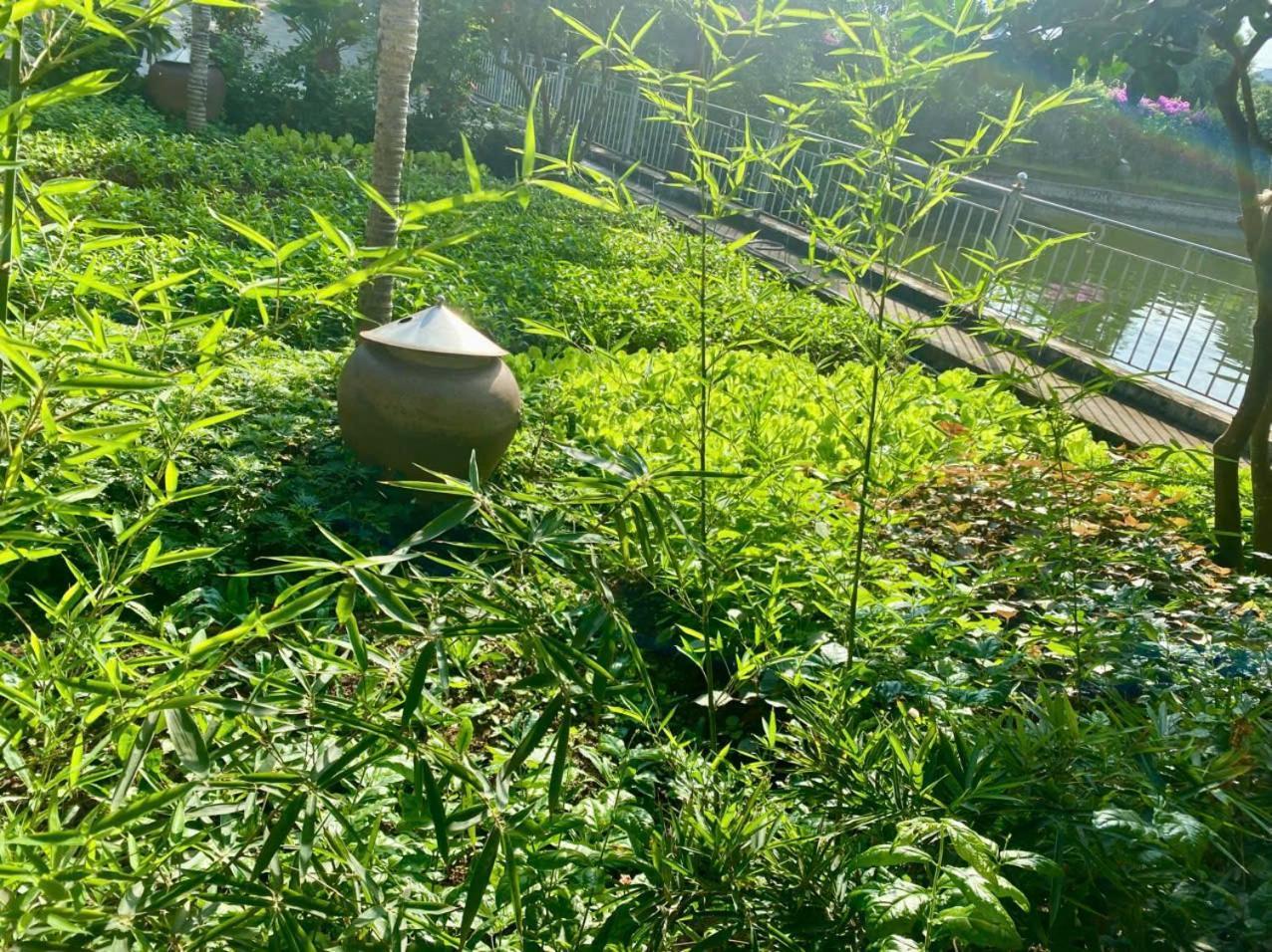 Blue Garden Homestay Ninh Binh Luaran gambar